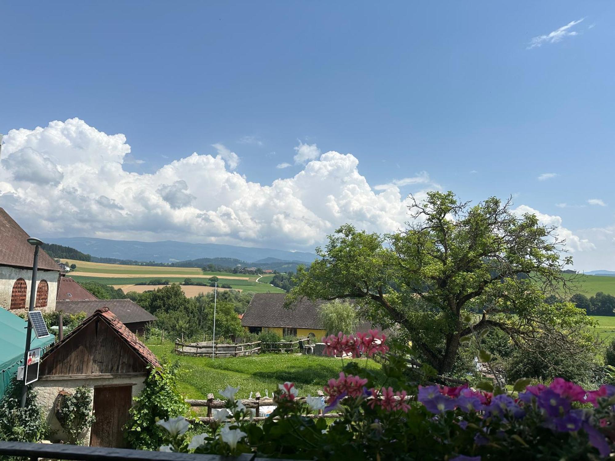 Gasthof Winkelwirt Althofen  Luaran gambar